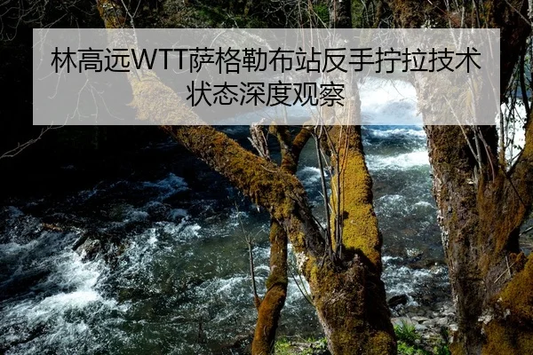 林高远WTT萨格勒布站反手拧拉技术状态深度观察
