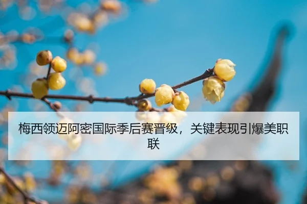 mei-xi-ling-mai-a-mi-guo-ji-ji-hou-sai-jin-ji-guan-jian-biao-xian-yin-bao-mei-zhi-lian-2-222.jpg