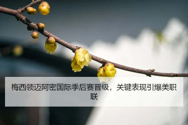 mei-xi-ling-mai-a-mi-guo-ji-ji-hou-sai-jin-ji-guan-jian-biao-xian-yin-bao-mei-zhi-lian-3-152.jpg