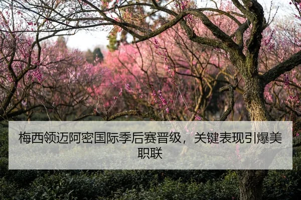 梅西领迈阿密国际季后赛晋级，关键表现引爆美职联