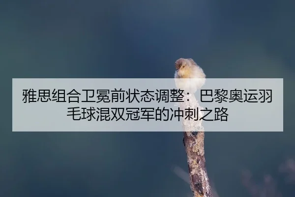 ya-si-zu-he-wei-mian-qian-zhuang-tai-tiao-zheng-ba-li-ao-yun-yu-mao-qiu-hun-shuang-guan-jun-de-chong-ci-zhi-lu-2-262.jpg