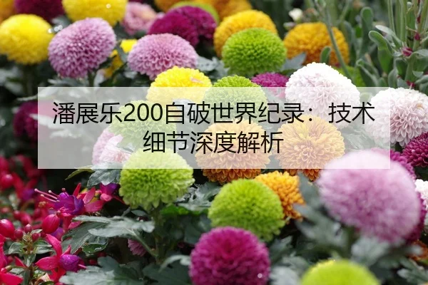 潘展乐200自破世界纪录：技术细节深度解析