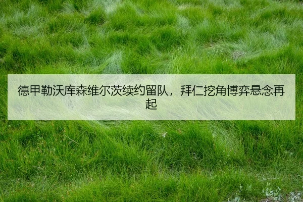 de-jia-lei-wo-ku-sen-wei-er-ci-xu-yue-liu-dui-bai-ren-wa-jiao-bo-yi-xuan-nian-zai-qi-3-420.jpg