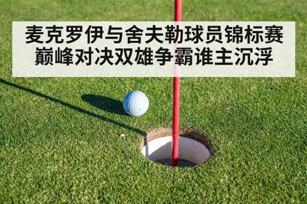 麦克罗伊与舍夫勒球员锦标赛巅峰对决双雄争霸谁主沉浮