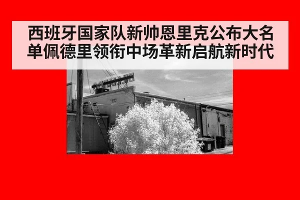 西班牙国家队新帅恩里克公布大名单佩德里领衔中场革新启航新时代